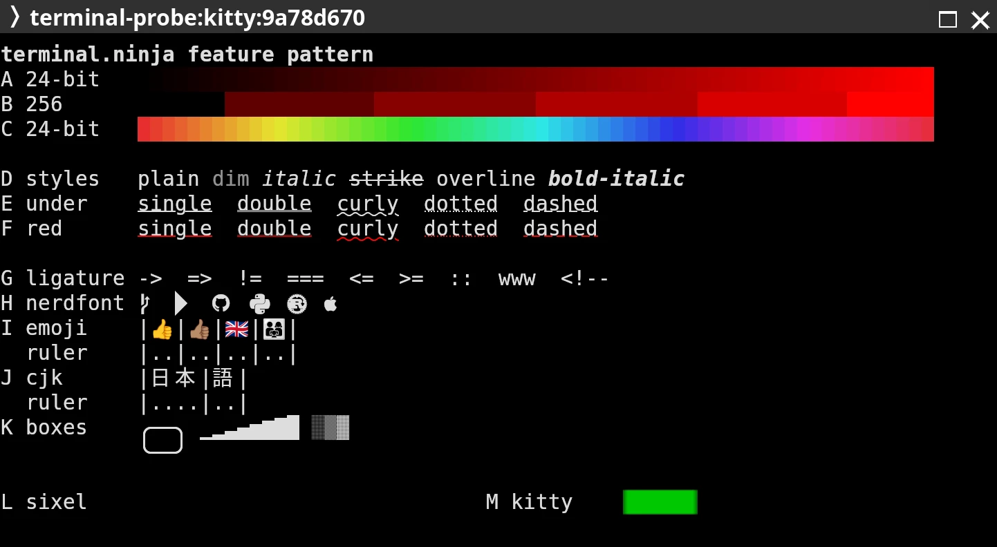 kitty on Linux drawing the test pattern: smooth colour ramps, every underline style including red curly underlines, all six Nerd Font icons, emoji and CJK lined up with their rulers and a green kitty graphics rectangle, but no line over the word overline and no sixel image.