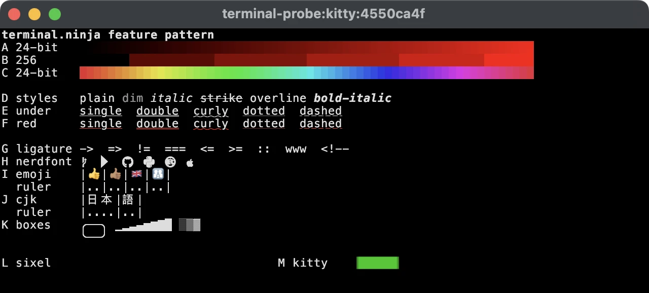 kitty drawing the test pattern: smooth colour ramps, every underline style including red curly underlines, Nerd Font icons, emoji and CJK lined up with their rulers and a green kitty graphics rectangle, but no line over the word overline and no sixel image.