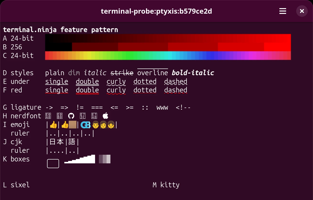 Ptyxis drawing the test pattern on a purple background: smooth colour ramps, dim, overline and every underline style in red, but Nerd Font icons as hex-code boxes, the toned thumb as a thumb plus a swatch, the flag as the letters GB, the family as three faces, and nothing on either image row.
