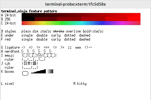 xterm drawing the test pattern in a small bitmap font, black on white: smooth colour ramps, italic and strikethrough, but no underlines of any style, every Nerd Font icon and emoji a box, CJK lined up with its ruler, and nothing on either image row.