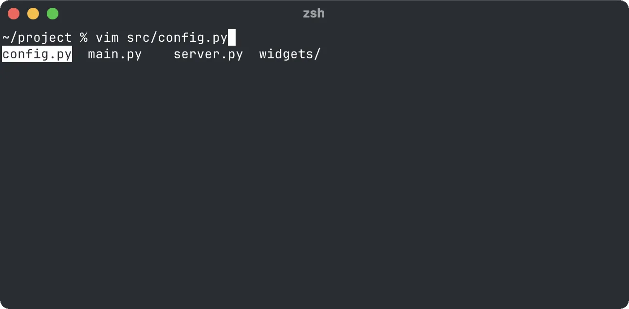 A zsh prompt reading vim src/config.py, with the completion menu below it listing config.py, main.py, server.py and widgets/, and config.py highlighted.